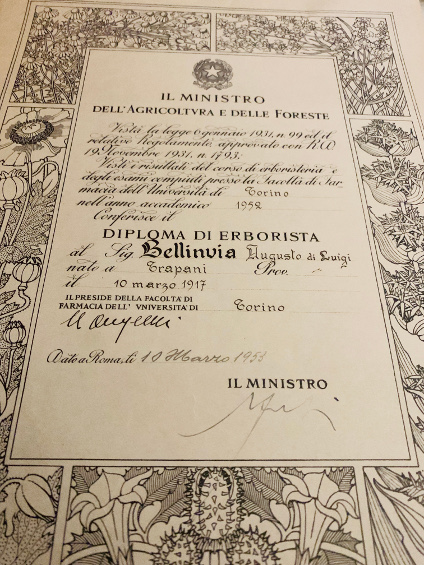augusto-bellinvia-diploma